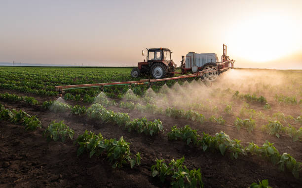 Pest Control for Hotels in Horton, KS